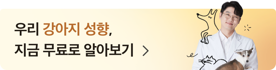 반려견 성향평가 하러가기